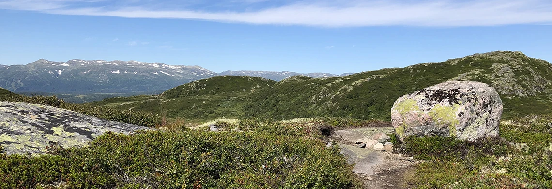 Naturbilde fra Rauland