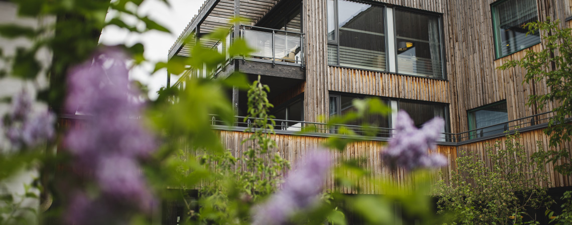 sykehjemmet fra hage