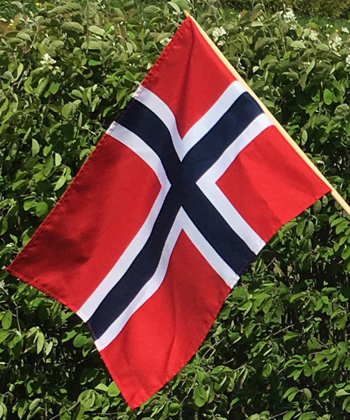 Ringerike kommune - Skal du ha arrangement på 17. mai?