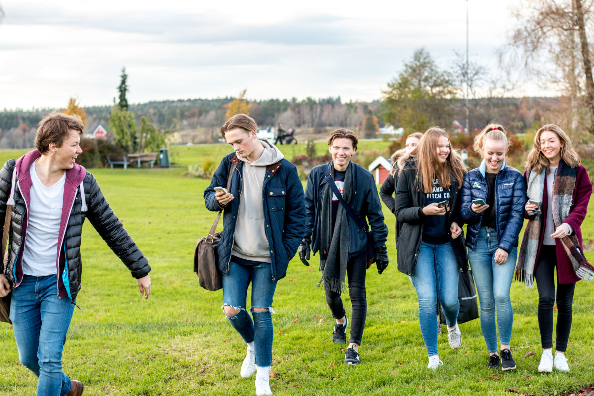 Vestfold og Telemark fylkeskommune - Ungdata