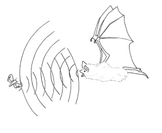 Origami for nybegynnere flaggermus. Vi lager en jævla attraktive nattdronning - en origami flaggermus. Hvordan lage en flaggermus av papir