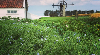 Foto: Vistnestunet, Randaberg kommune. Foto: Vistnestunet, Randaberg kommune.