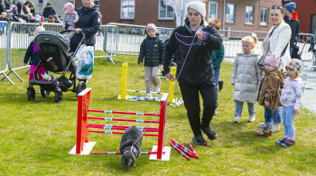 Visste du at kaniner kan hoppe så høyt som 1 meter og så langt som 3 meter? Til helgen kan du selv se og oppleve kaninhopping i Randaberg sentrum. Og kanskje kommer også Malin Hildur Haugland fra Randaberg tilbake for å opptre sammen med sin kanin, som her i Sentrumsparken under Vårmarken for ett år siden.