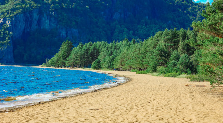 Sandstrand med furuskog og blått vann, omgitt av grønne fjellsider.