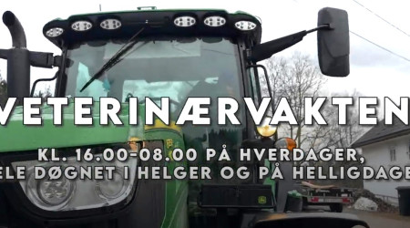 Skjermdump fra infofilm om veterinærvakten