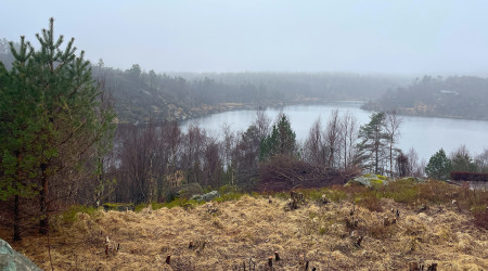 Bilde som viser deler av Ljosevann, og terrenget rundt.