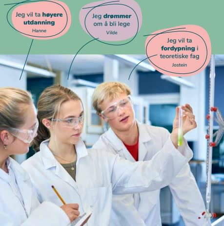 studiespes2.jpg