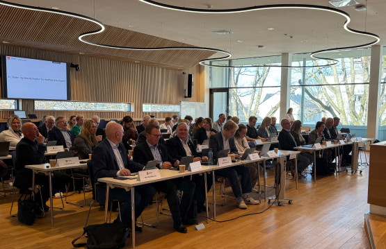 Bilde av fylkestinget