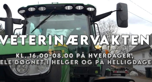 Skjermdump fra infofilm om veterinærvakten