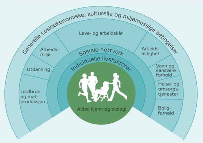 Bilderesultat for dahlgren og whiteheads modell