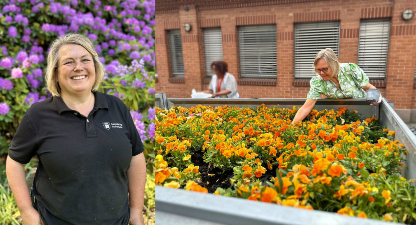 POPULÆRT: Inger Hilde Jørgensen (t.v) gleder seg til å nok en gang kunne gi bort vårblomster til innbyggere. Rita Thorsen (t.h) var blant de som sikret seg stemorsblomster i fjor. (begge foto: Ole Christian Foss)