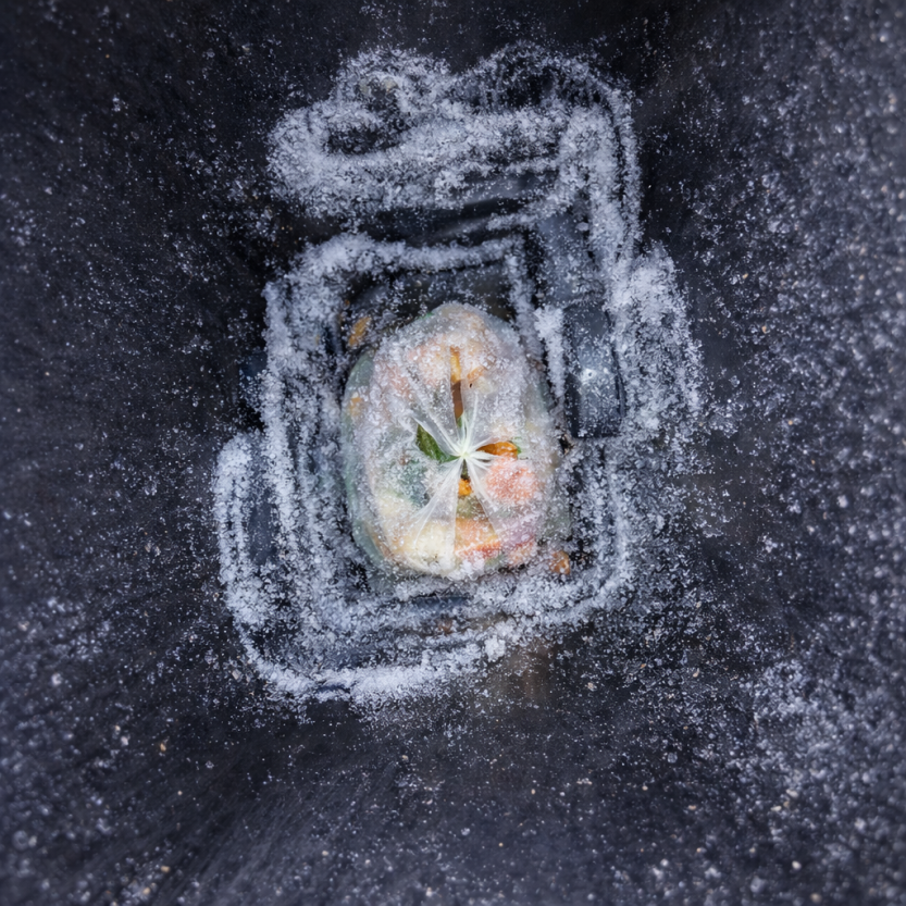 KALDT: Unngå av matavfallsposene fryser fast i beholderen (foto: Sarpsborg kommune)