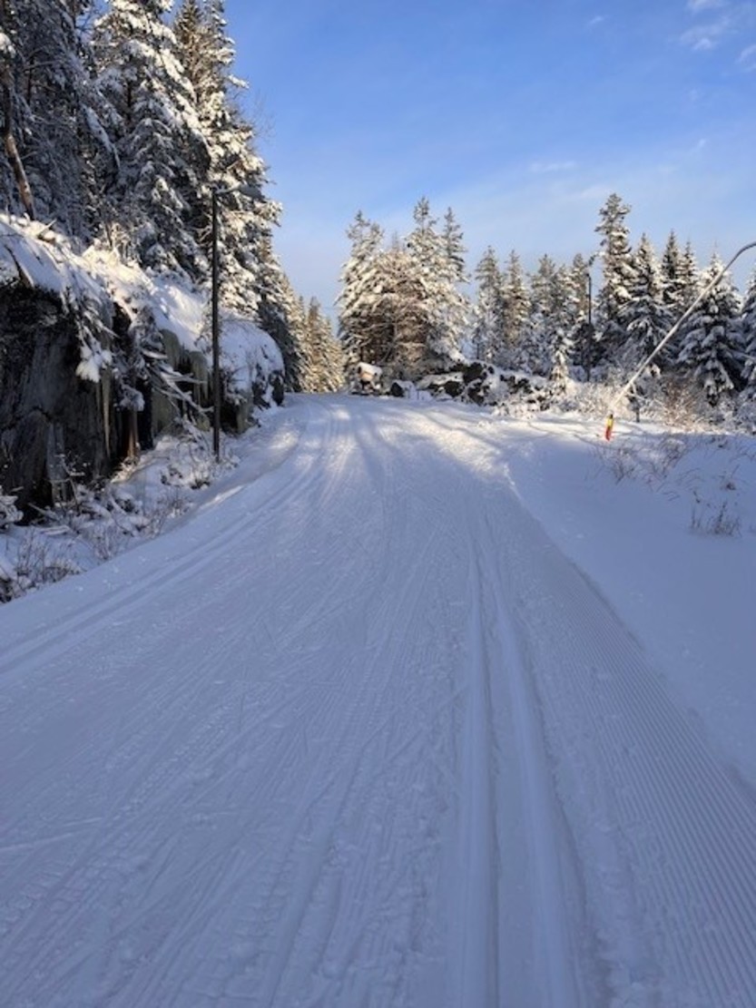 Turtips fra Susan - tur i skiløypa