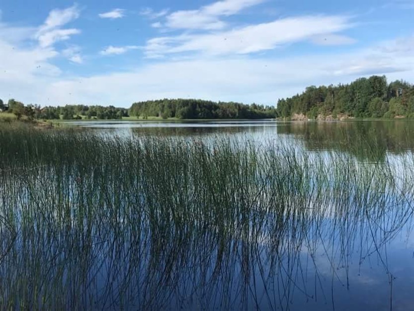 Bilde fra strandkanten