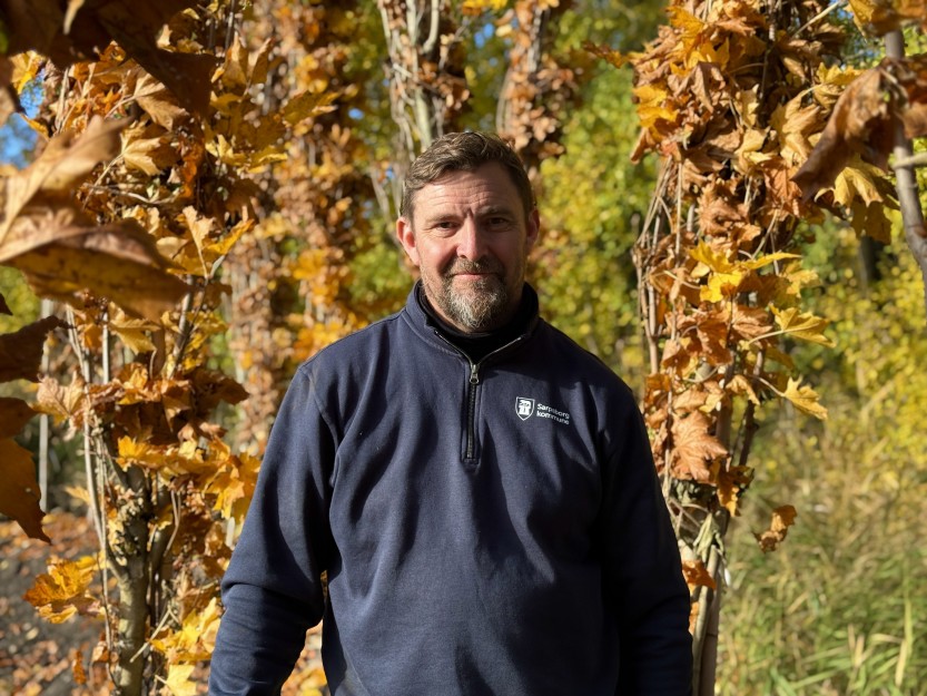 ARBORIST: Trond Lundestad er treekspert, og bistår Sarpsborg kommune i forbindelse med utskifting av trær (foto: Ole Christian Foss)