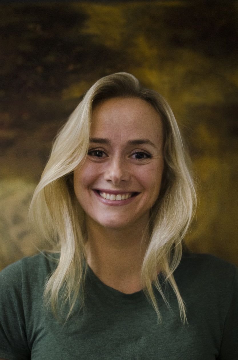 Pressefoto Helsesista