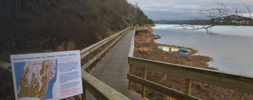 Bryggestien i Glengshølen. Foto: Henrik Høst.