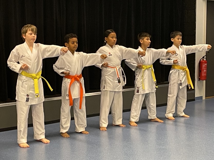 Flinke barn fra Sarpsborg karateklubb holdt oppvisning under lanseringen av fritidserklæringen.