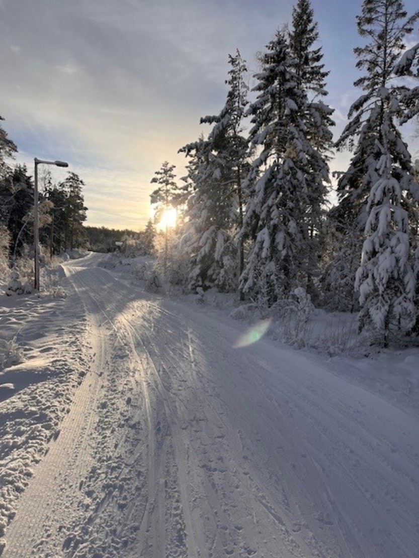 Turtips fra Susan - tur i skiløypa