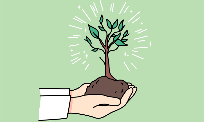 Hender holder plante.