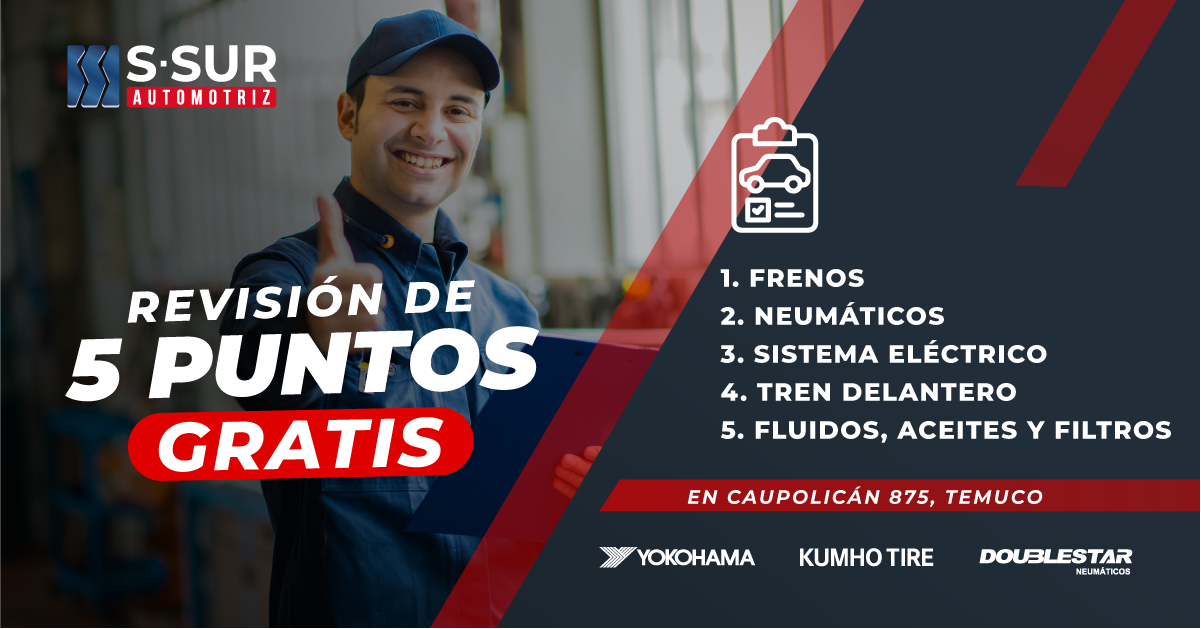 Revision5Puntos-SSUR_card_card