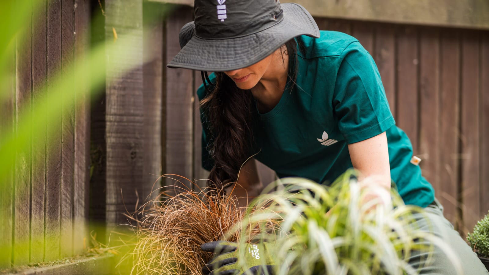 The Best Native Plants for Canterbury Gardens in 2026