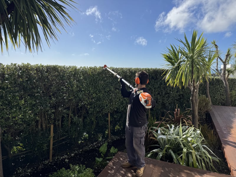 Hedge trimming Christchurch