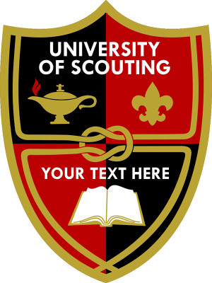 LS09