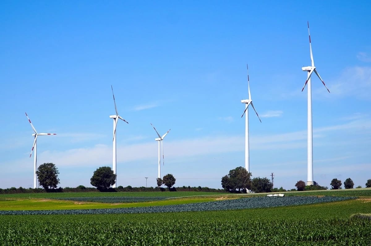 5 Windkraftanlagen stehen auf einem grünen Feld mit kleineren Bäumen