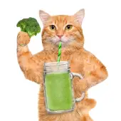 name-63a9811fa887a632d8d6469f