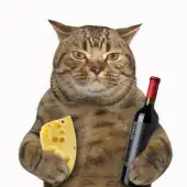 name-63a9ac7e7e27e619ebcc4650