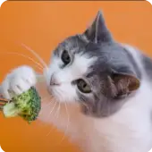 name-6294645829eee6001183f99c