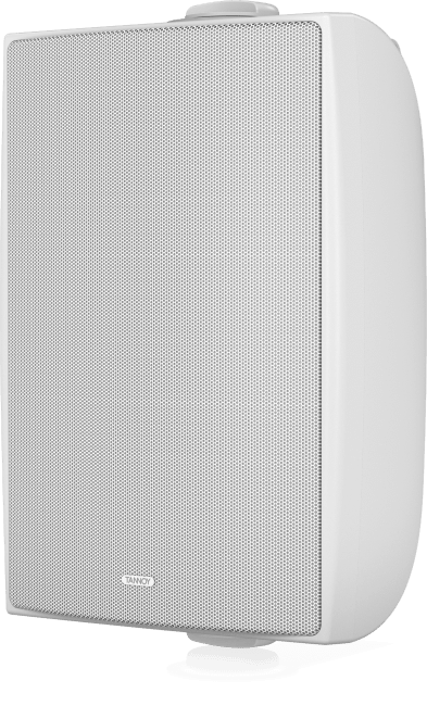 Tannoy DVS 6t (white)