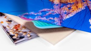 Stampa Foto su Plexiglass