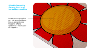 Stampa su Alluminio
