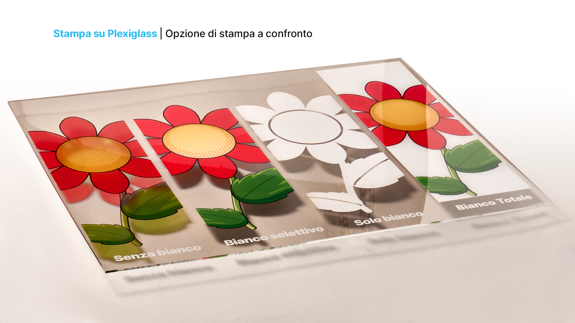 Stampa su Plexiglass