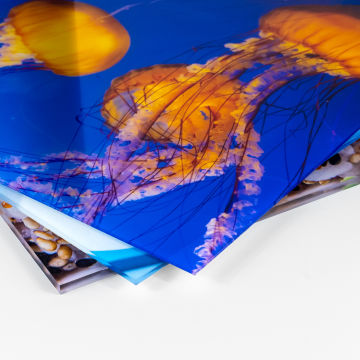 stampa personalizzata su plexiglass con foto