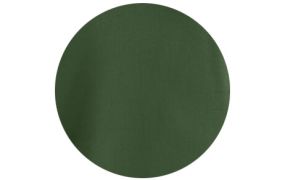 Verde Bottiglia