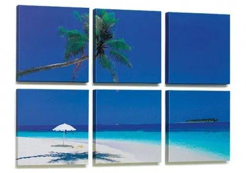 fotoquadri soggetto tropici