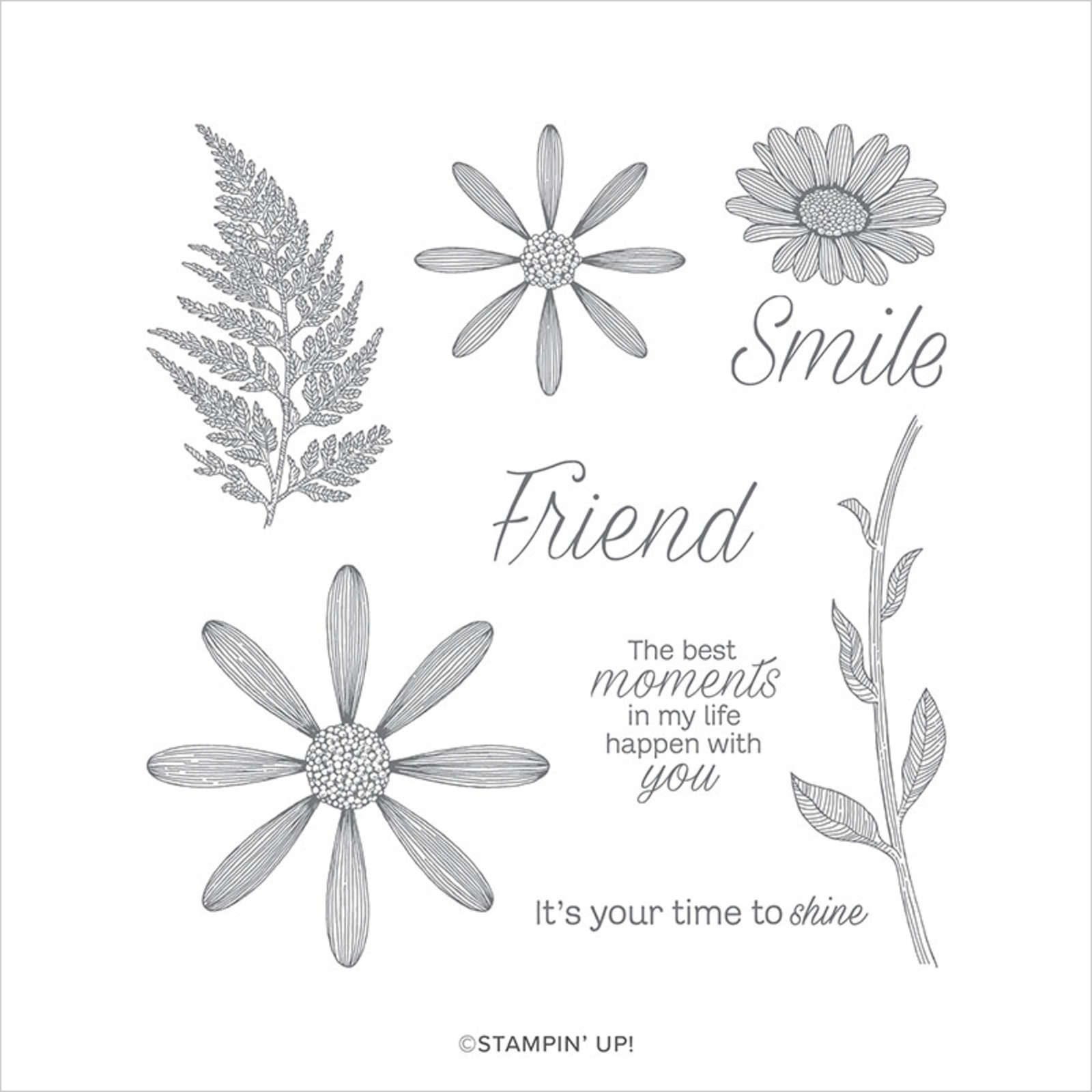 daisy lane cling stamp set english