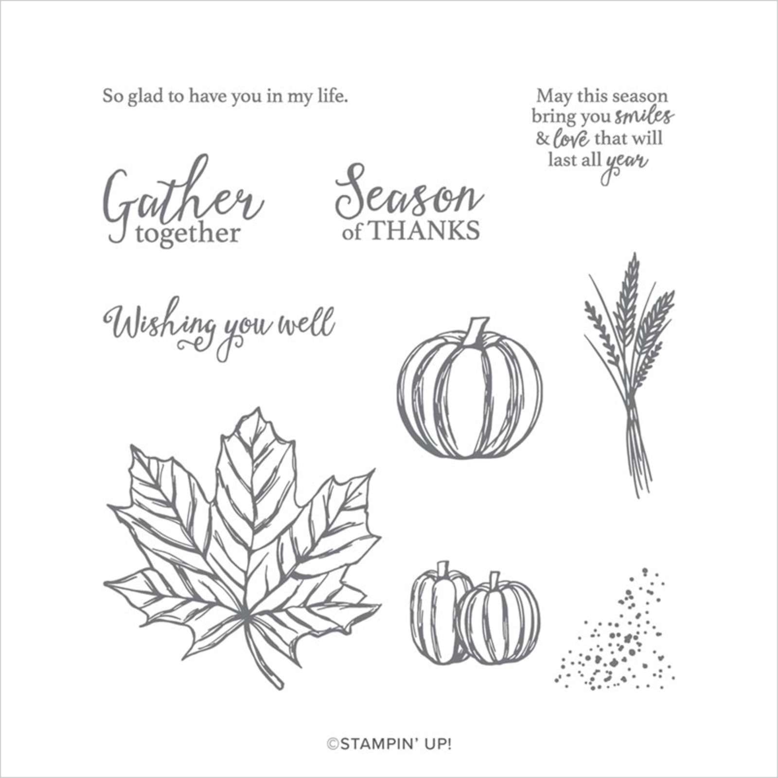 GATHER TOGETHER PHOTOPOLYMER STAMP SET