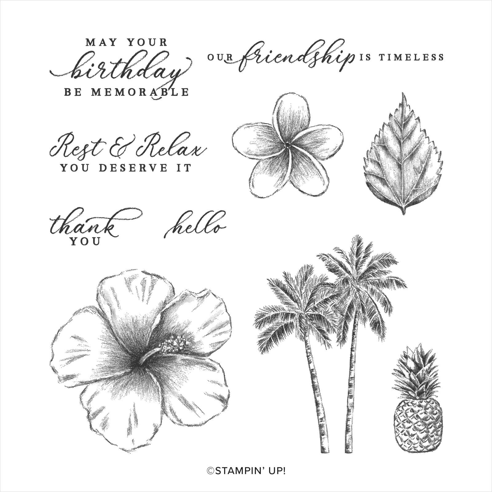 Stampin' Up! - TIMELESS TROPICAL CLING STAMP SET (ENGLISH)