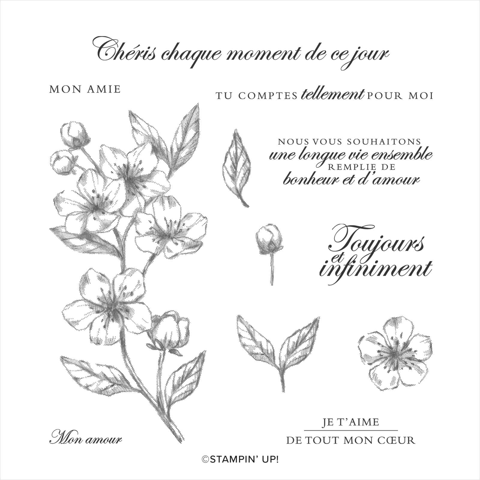 SET DE TAMPONS AMOVIBLES FLEURS POUR TOUJOURS (FRANÇAIS)