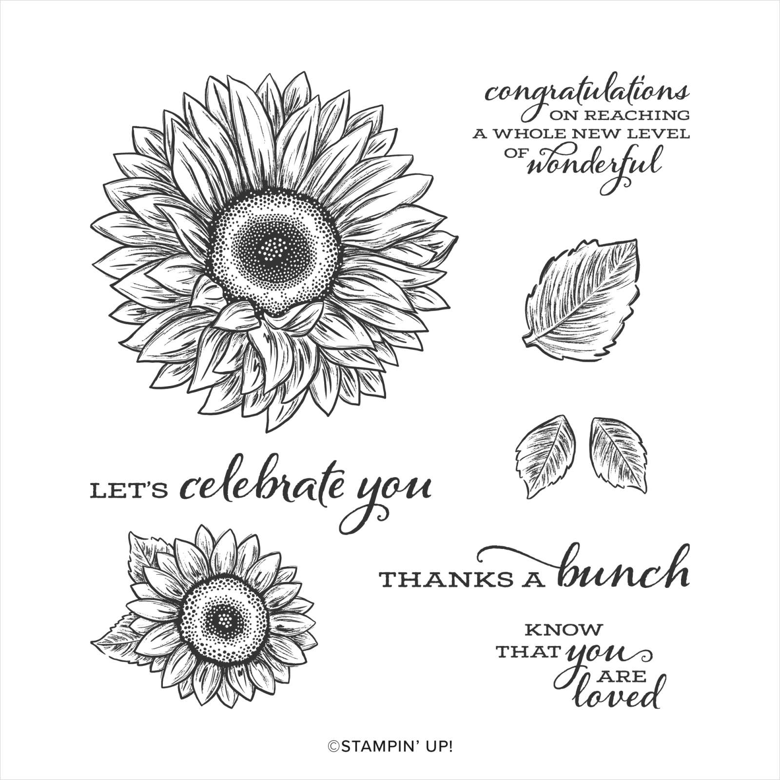 CELEBRATE SUNFLOWERS CLING STAMP SET (ENGLISH)