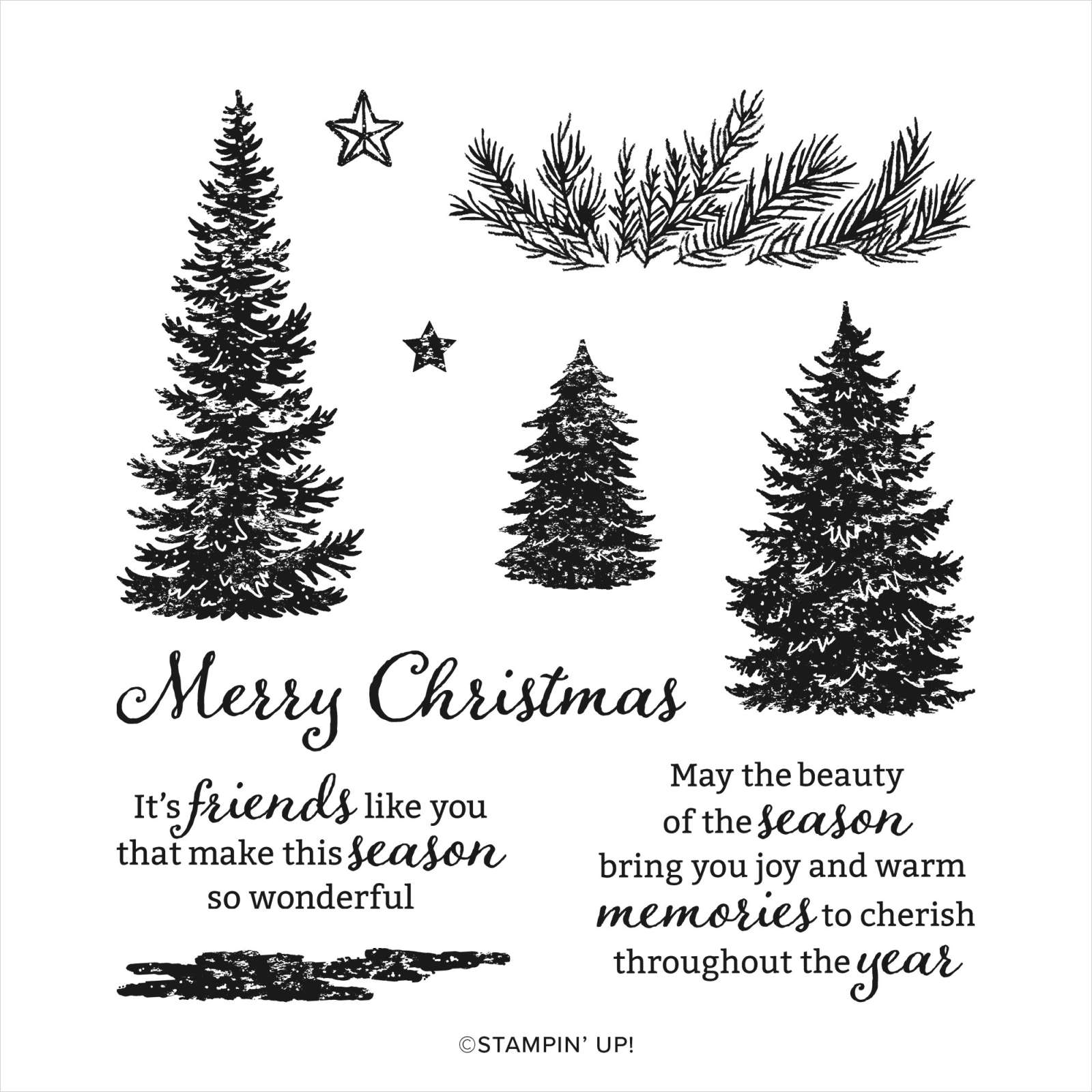 EVERGREEN ELEGANCE CLING STAMP SET