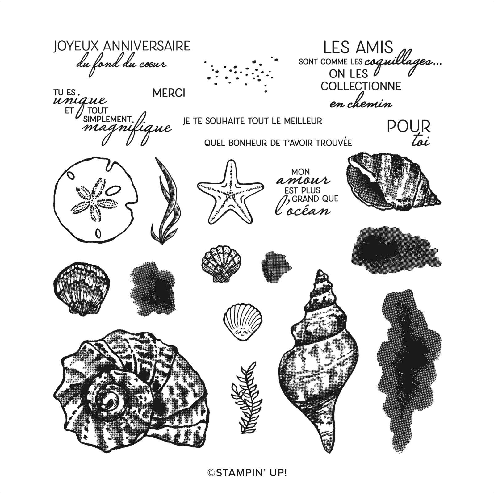 Stampin Up Les Amis Sont Comme Des Coquillages Photopolymer Stamp Set French Stampin Up Les Amis Sont Comme Des Coquillages Photopolymer Stamp Set French