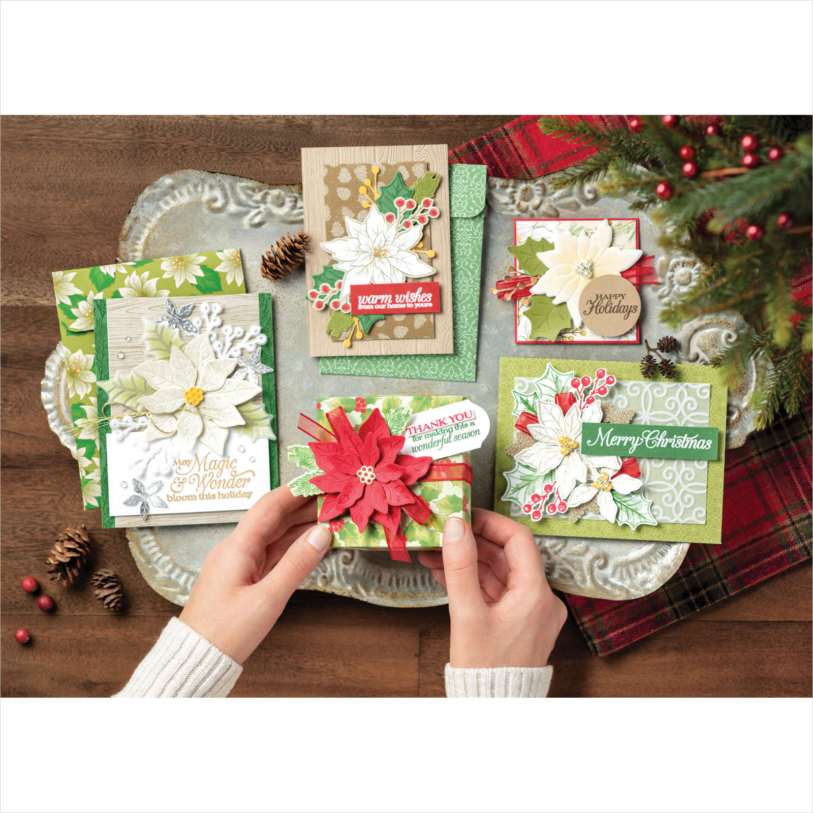 POINSETTIA PLACE SUITE COLLECTION (ENGLISH)