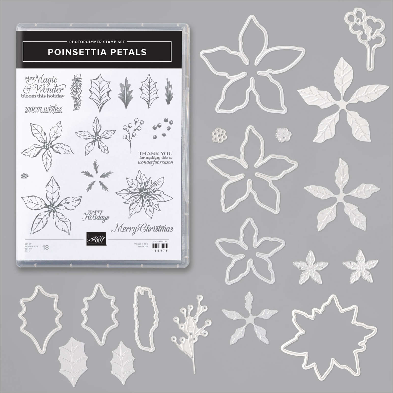 POINSETTIA PETALS BUNDLE (ENGLISH)