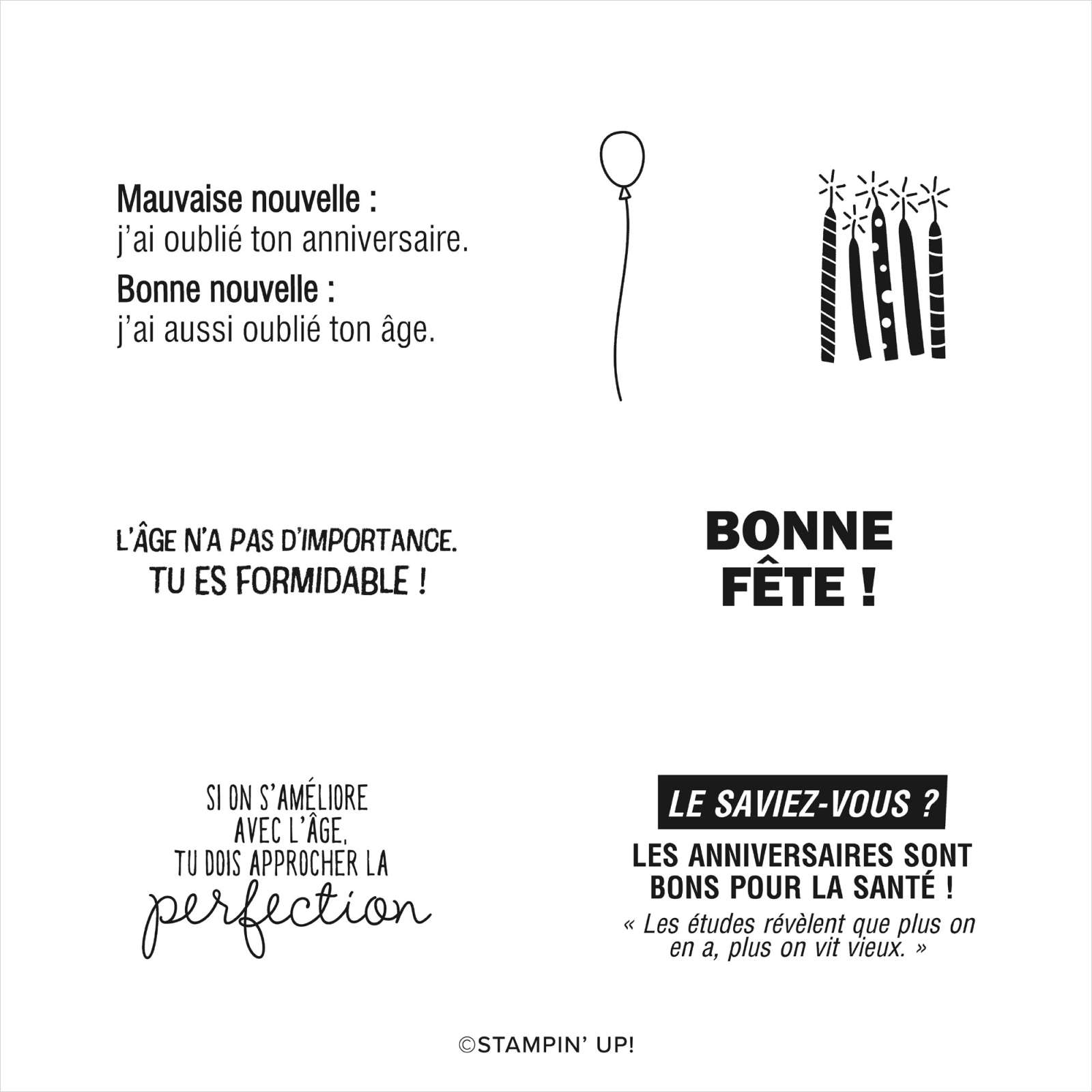 SET DE TAMPONS AMOVIBLES LA PERFECTION OU PRESQUE (FRANÇAIS)