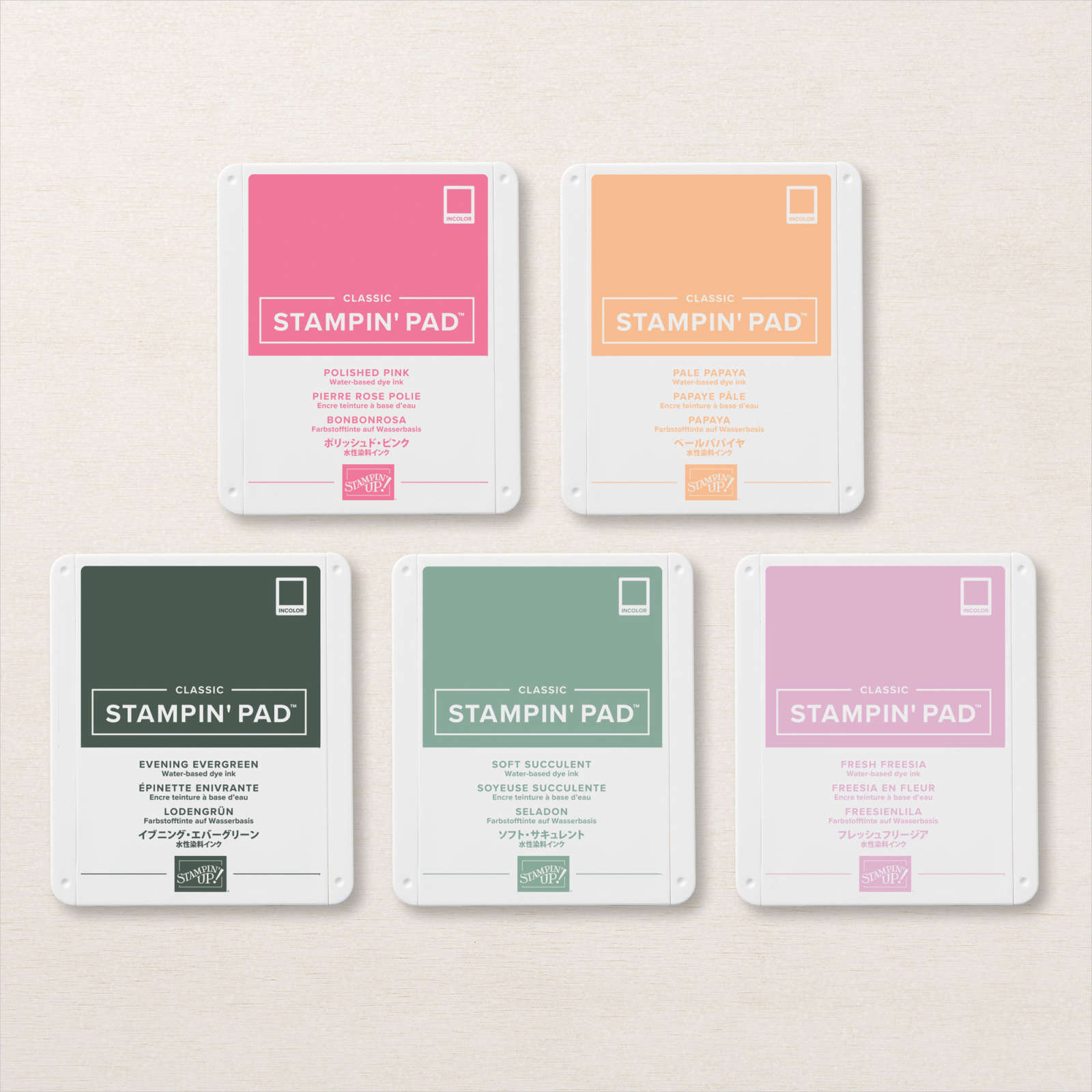 SET KLASSIEKE INKTKUSSENS - IN COLOR 2021-2023